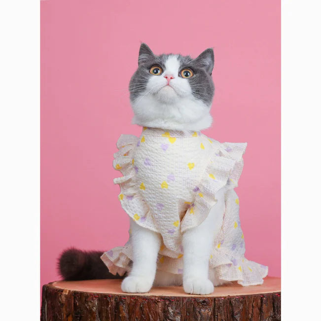 Cat Sweet Love Dress Photo Apparel