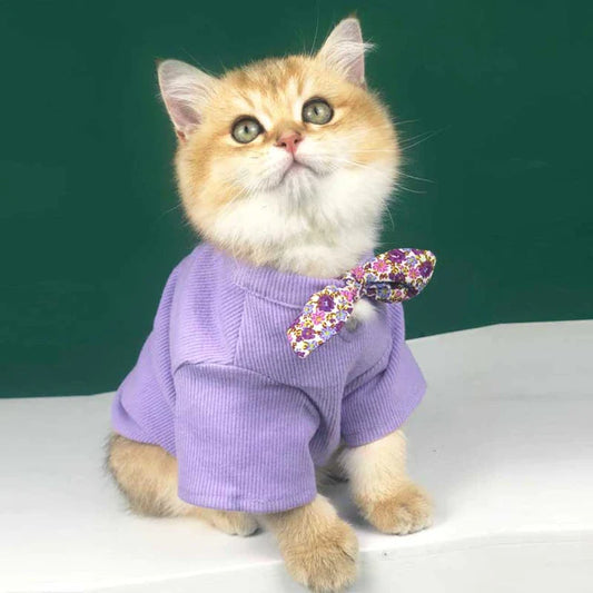 Cat Cute Basic Summer Kitten Shirts